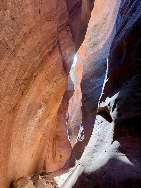 Echoes of the Canyon – MIND, Zion National Park