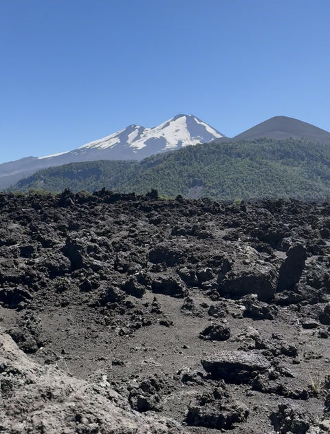 Volcan Llaima, Conguillio National Park, Chile
